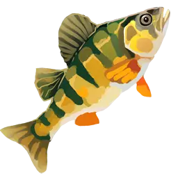 Bass