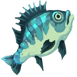 Bluegill