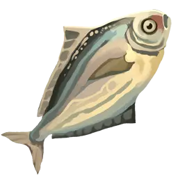 Bream