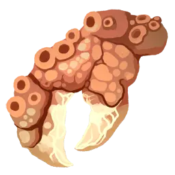 Crustacean Claw