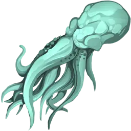 Squid