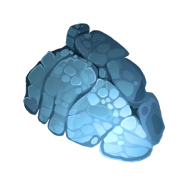 Carapace